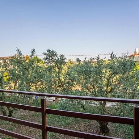 Olive Garden İznik
